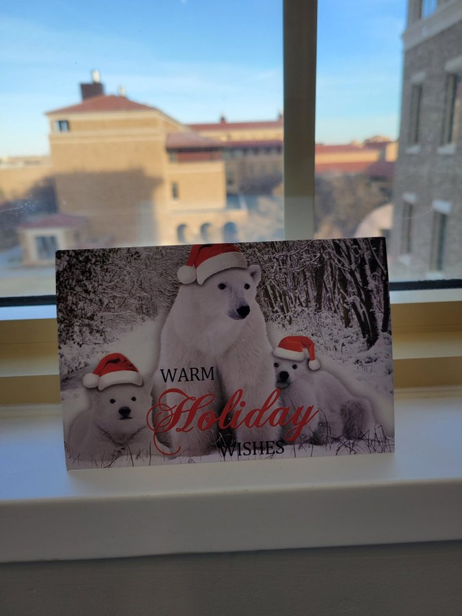 Image of a Christmas postcard standing on a window frame. The postcard is an image of a mother polar bear and two cubs, all wearing Christmas hats. The postcard has the words 