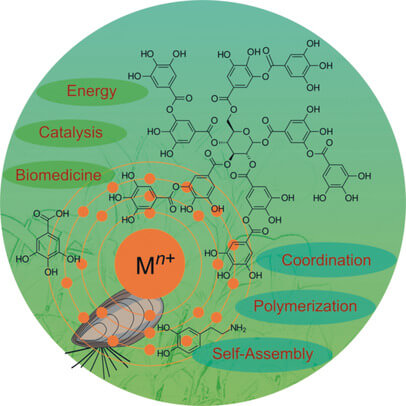 Graphical abstract of publication with DOI: 10.1002/anie.201807804