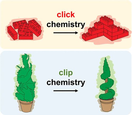 Graphical abstract of publication with DOI: 10.1021/acs.chemrev.0c01282