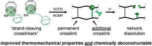 Graphical abstract of publication with DOI: 10.1021/acsmacrolett.1c00255