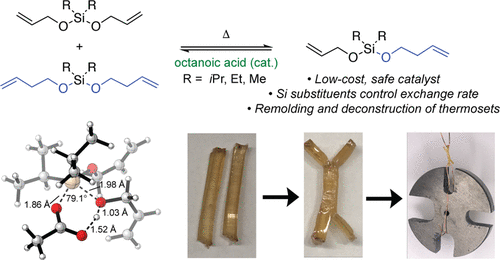Graphical abstract of publication with DOI: 10.1021/jacs.2c11858