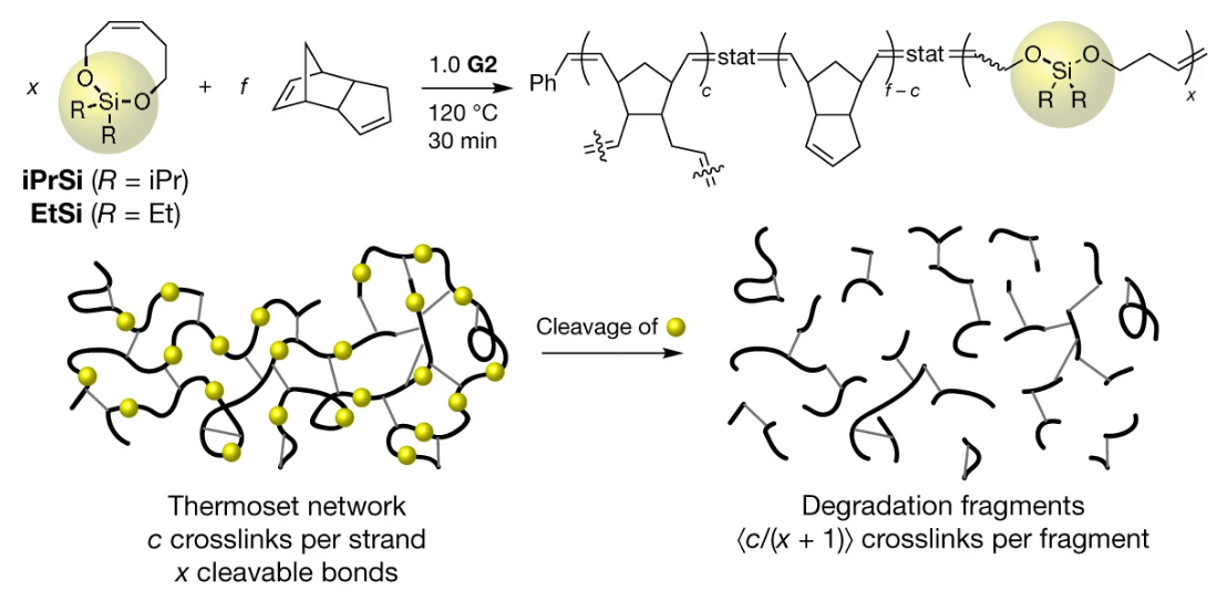 Graphical abstract of publication with DOI: 10.1038/s41586-020-2495-2
