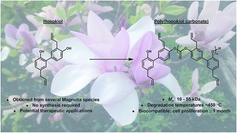 Graphical abstract of publication with DOI: 10.1039/C6RA19568G
