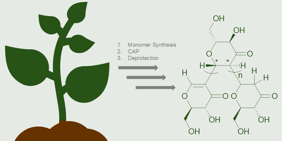 Graphical abstract of publication with DOI: 10.1039/D5PY00444F